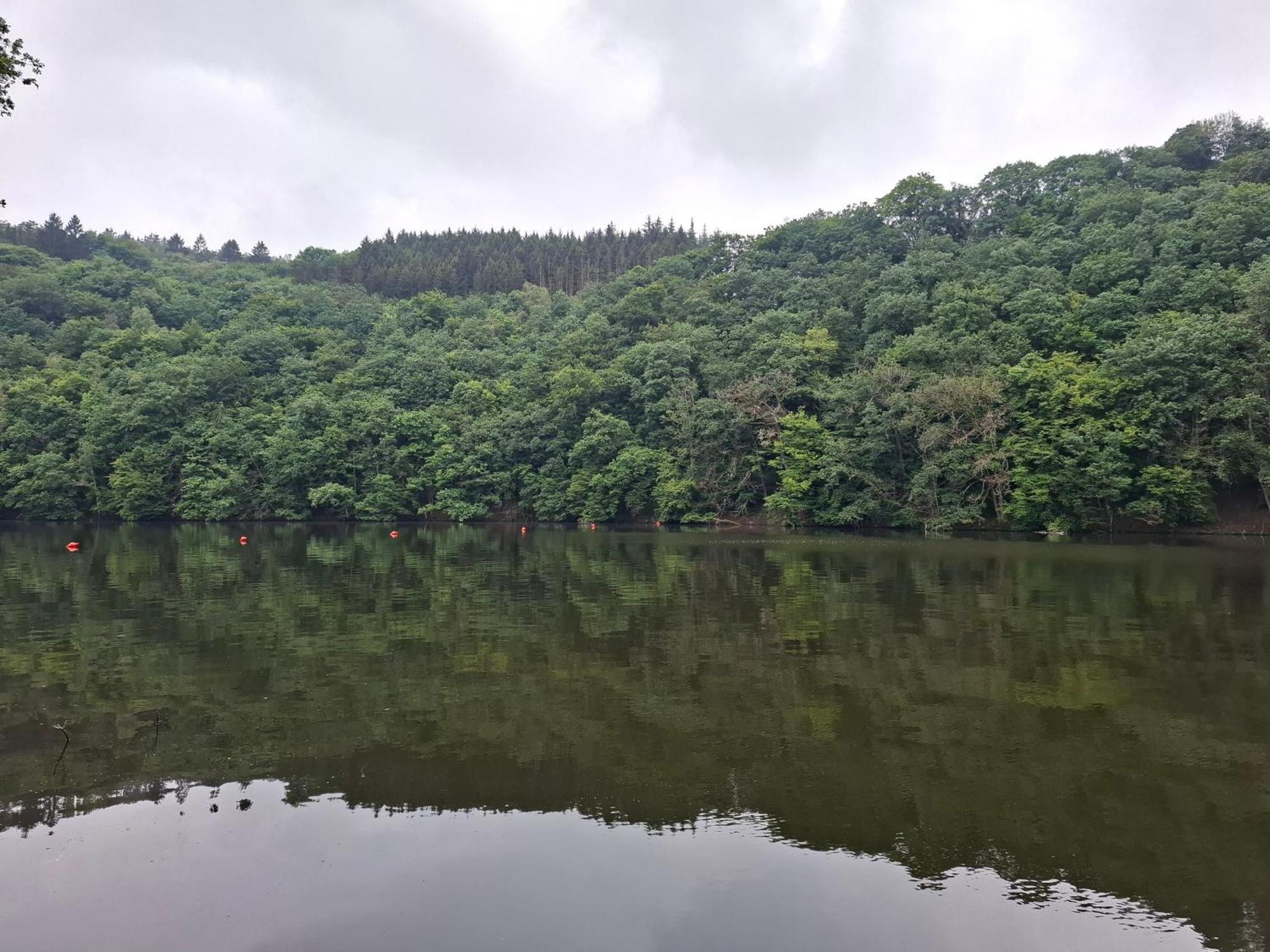 Het Vlindertje Villa Durbuy Bagian luar foto